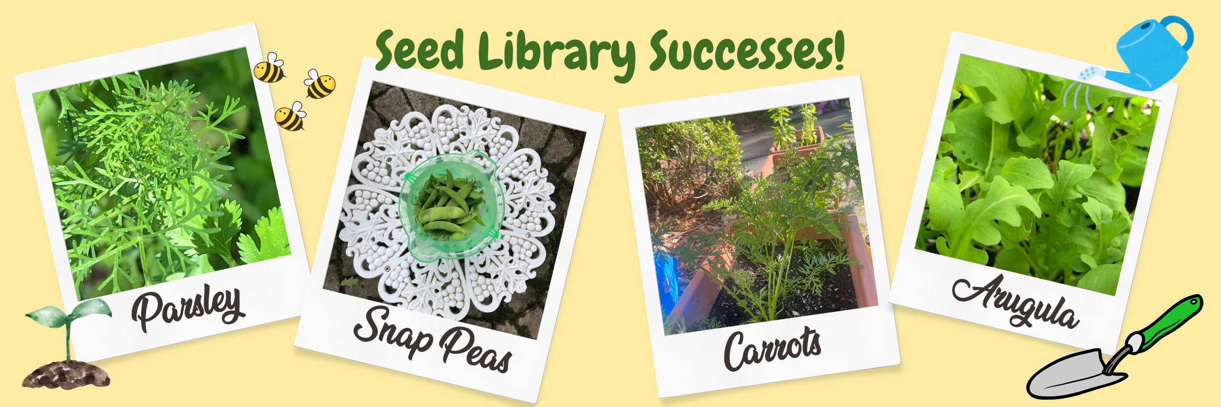 Seed Library Successes photos #2