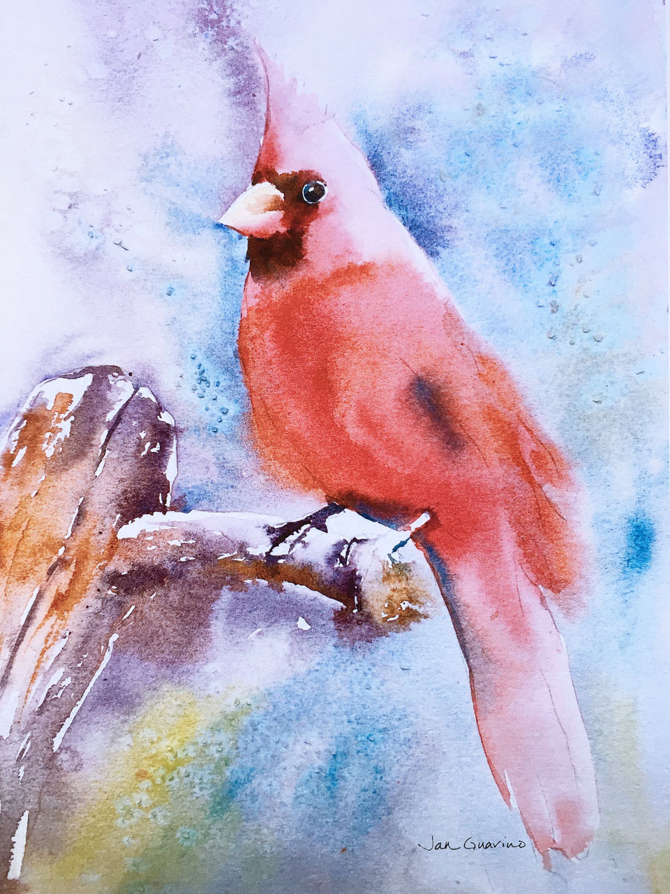 watercolor of cardinal