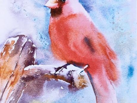 watercolor of cardinal