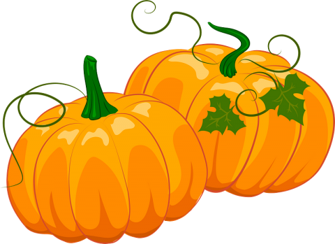 two pumpkins