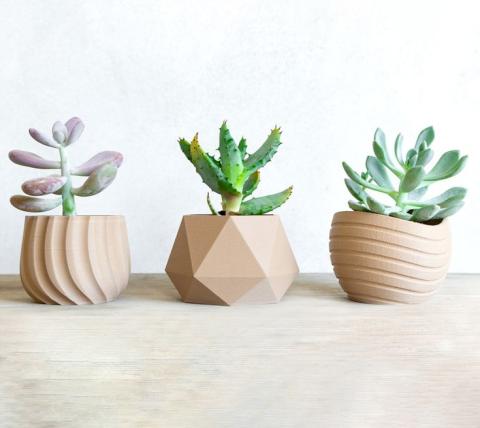 3D Designed Succulent Pots