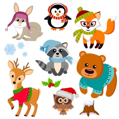 Winter Animals