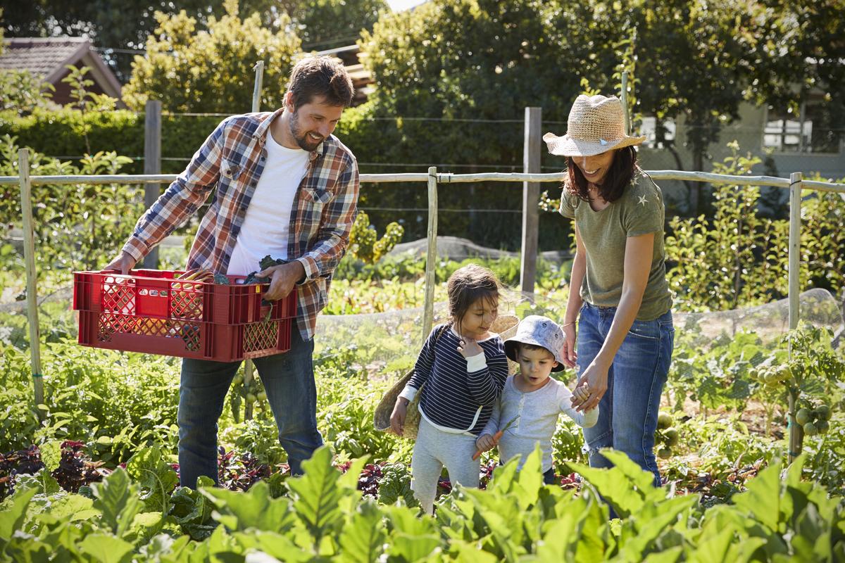 family in their garden