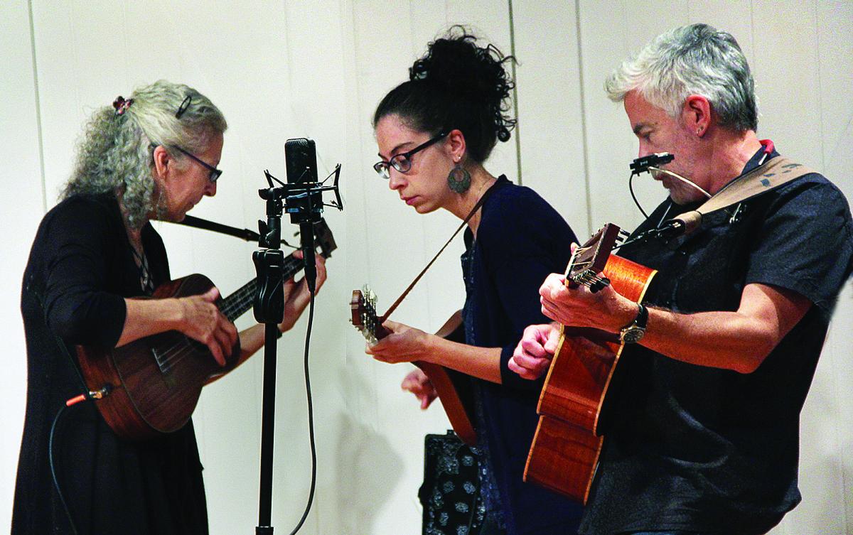 The Homegrown String Band