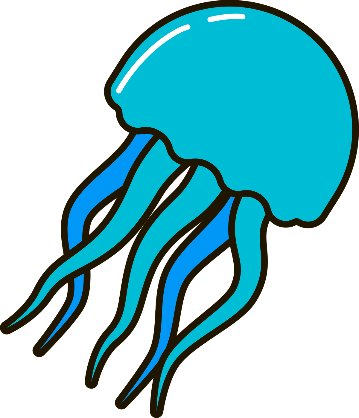 jellyfish